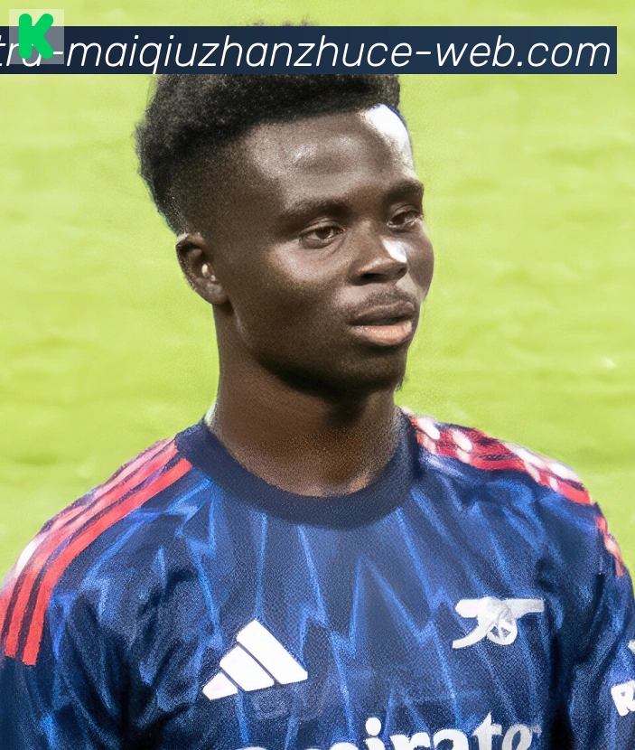 维尼修斯